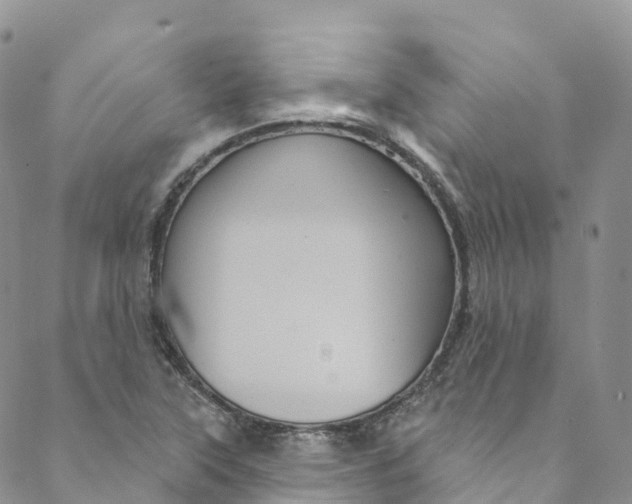 X0000088471315200706121519