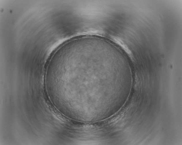 X0000088471316200706121519