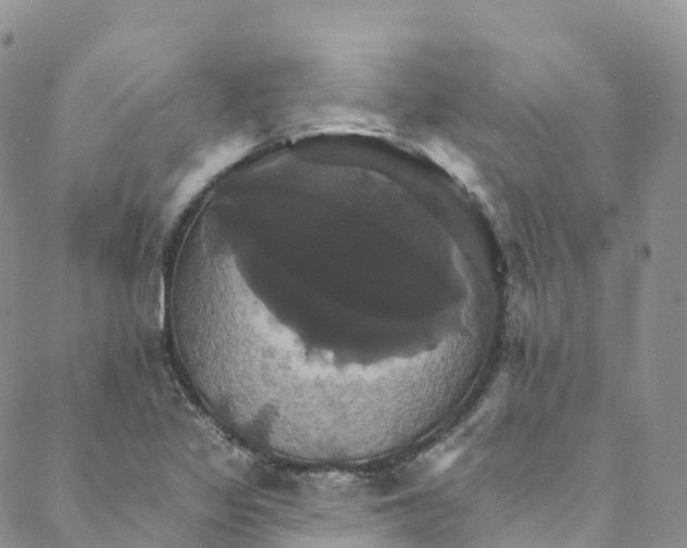 X0000088471317200706121519