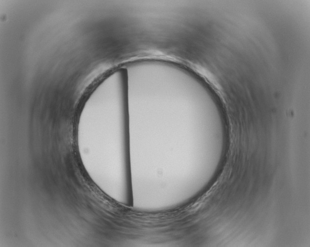 X0000088471318200706121519