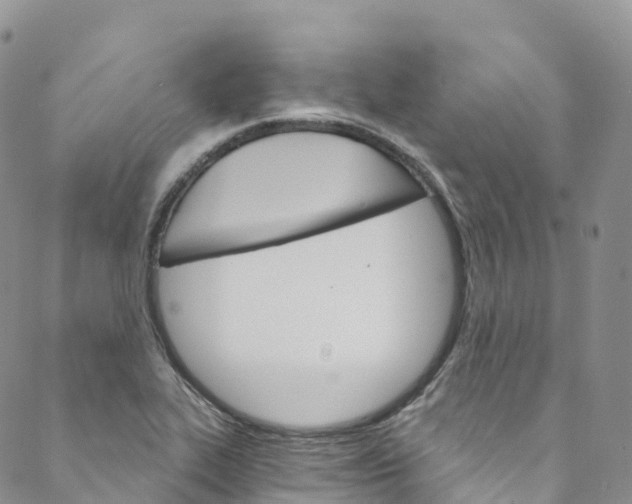 X0000088471319200706121519