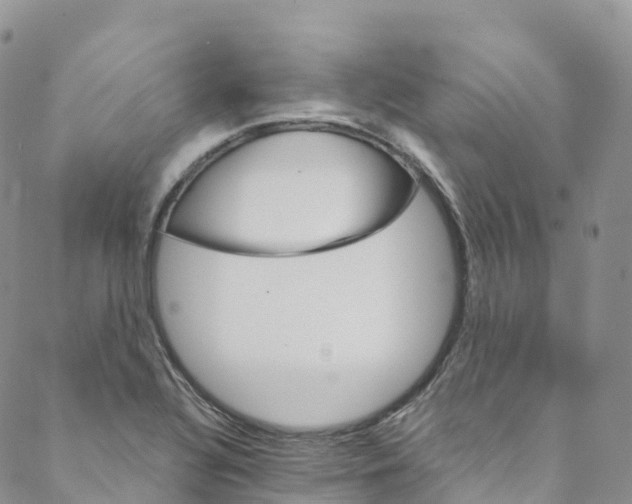 X0000088471320200706121519