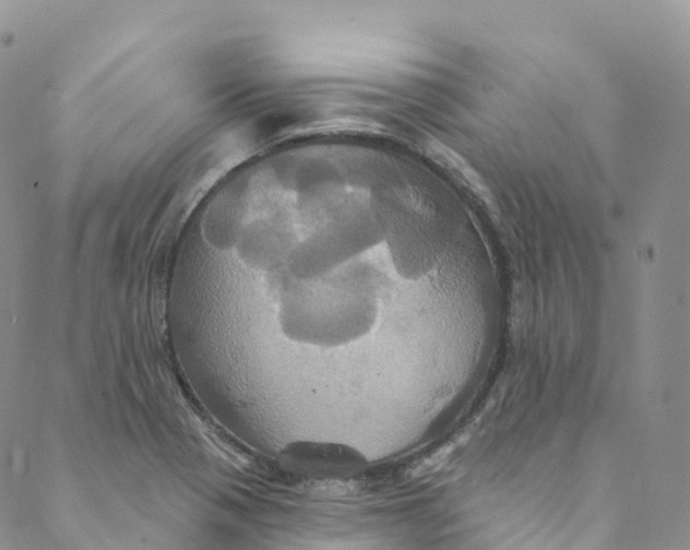 X0000088471321200706121519