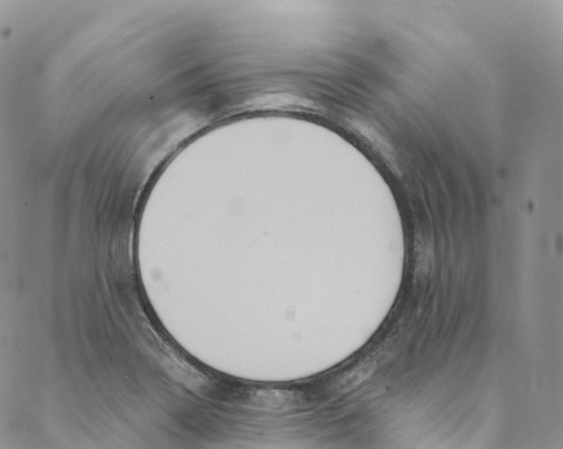 X0000088471322200706121519