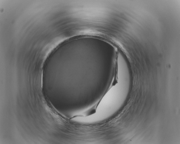 X0000088471323200706121519