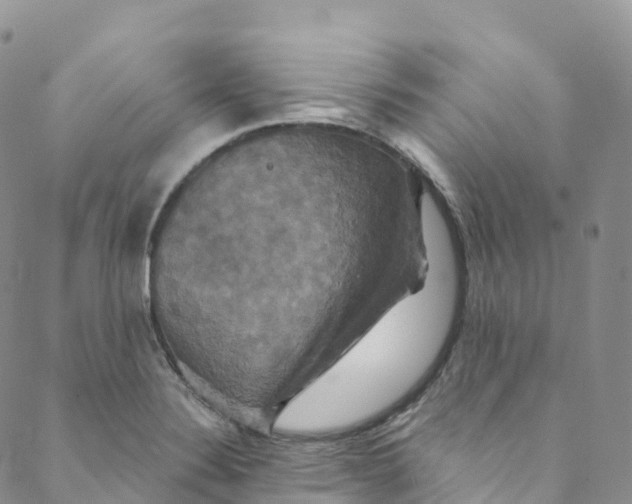 X0000088471324200706121519