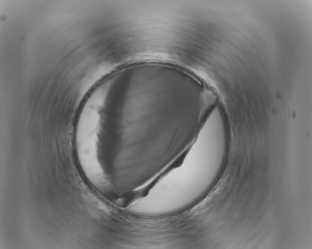 X0000088471325200706121519