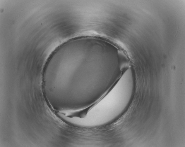 X0000088471326200706121519