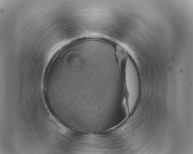 X0000088471327200706121519