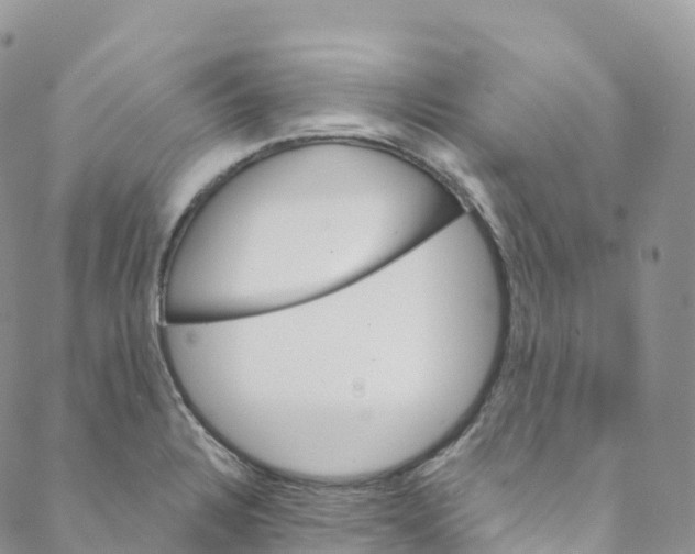 X0000088471328200706121519