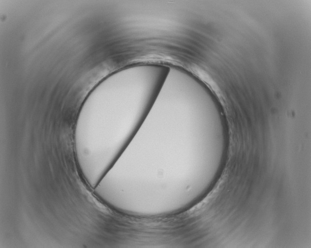 X0000088471329200706121519