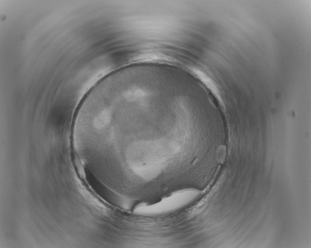 X0000088471330200706121519