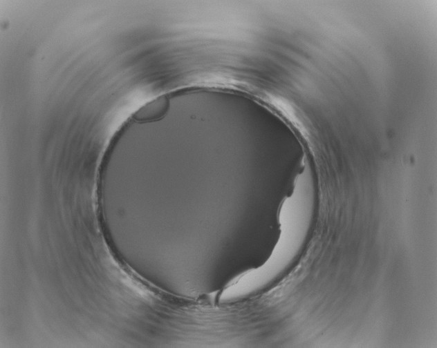 X0000088471331200706121519