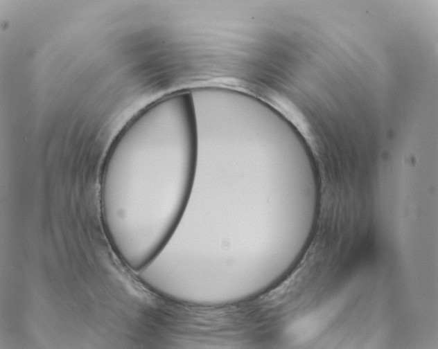 X0000088471332200706121520