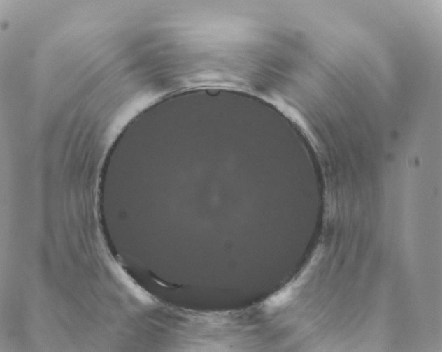 X0000088471333200706121520