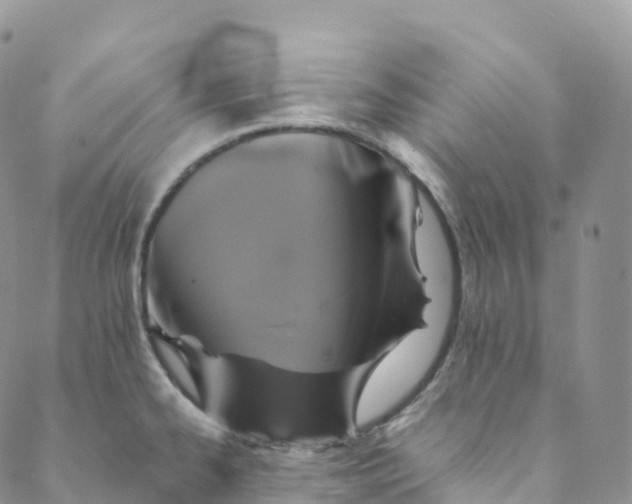 X0000088471334200706121520