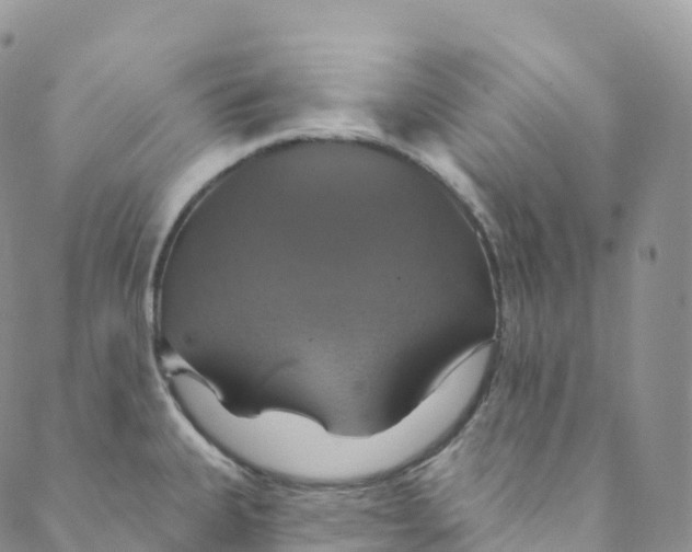 X0000088471335200706121520