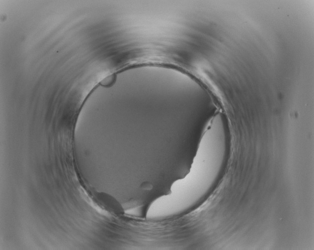 X0000088471337200706121520