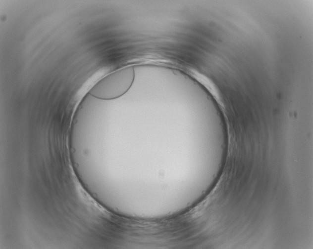 X0000088471338200706121520