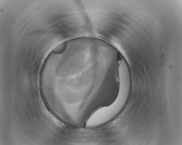 X0000088471339200706121520