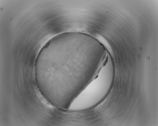 X0000088471340200706121520