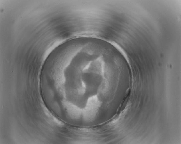 X0000088471341200706121520