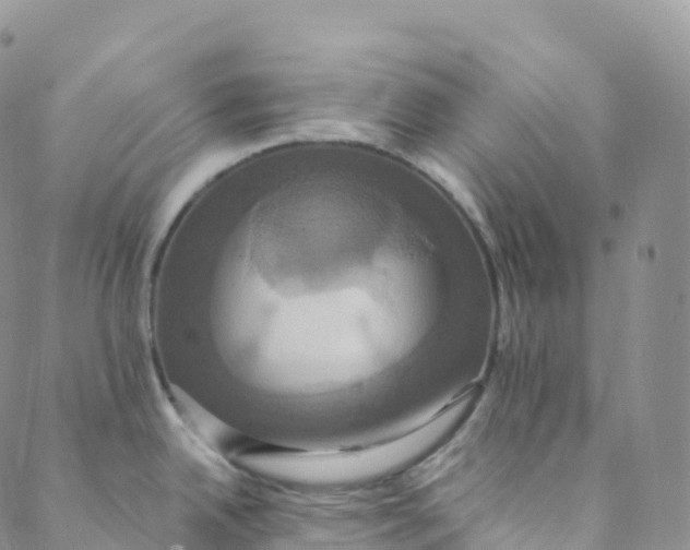 X0000088471342200706121520