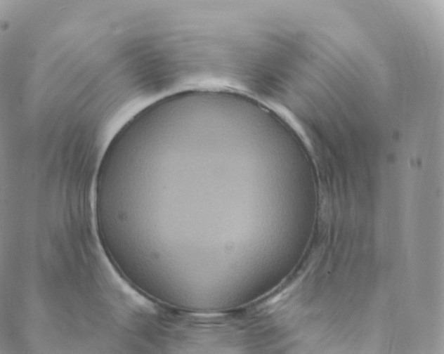 X0000088471343200706121520