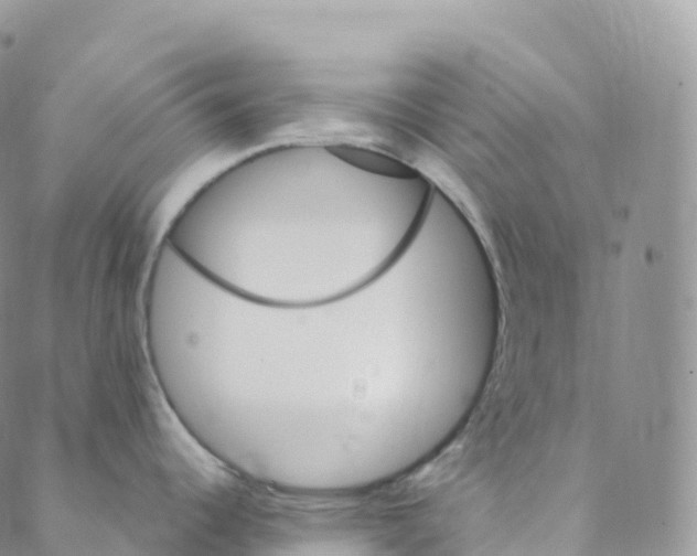 X0000088471344200706121520