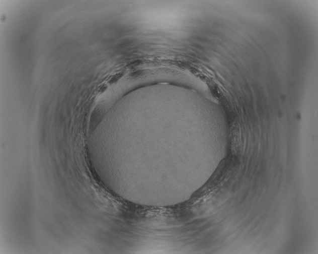 X0000088471345200706121519