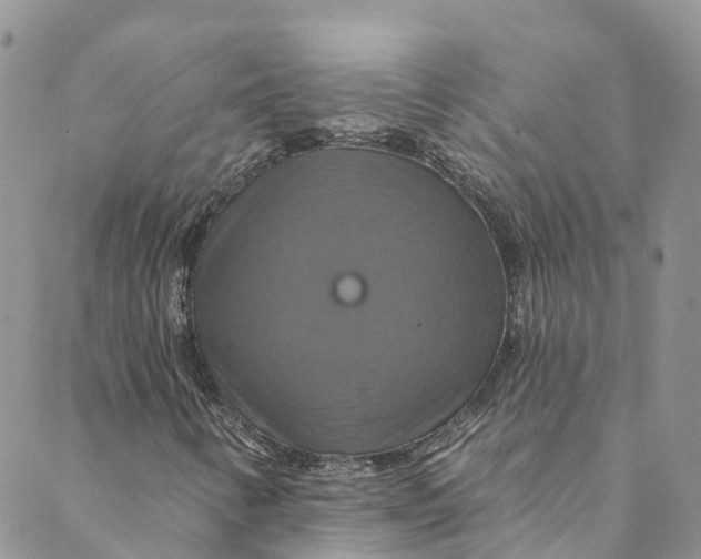 X0000088471346200706121519