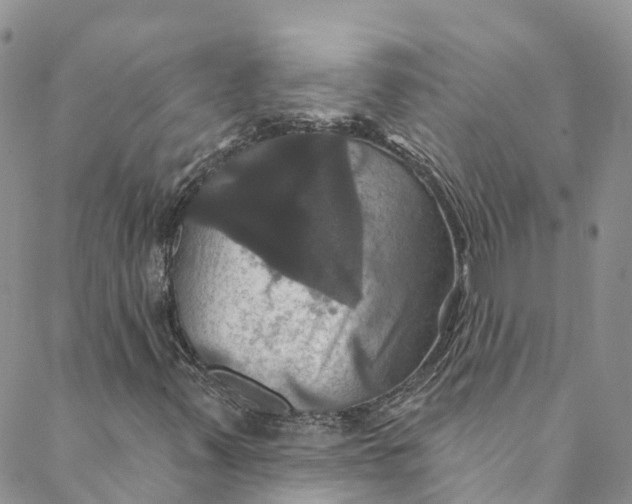 X0000088471347200706121519