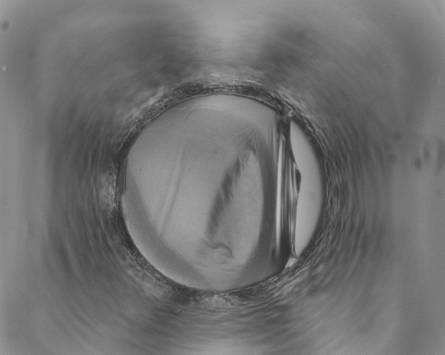 X0000088471348200706121519