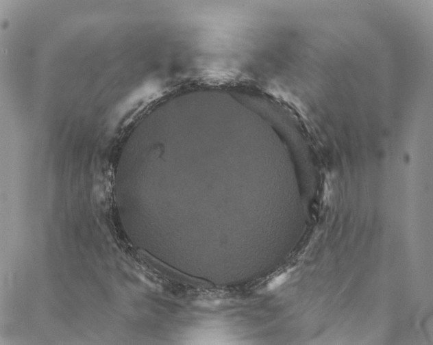 X0000088471349200706121519