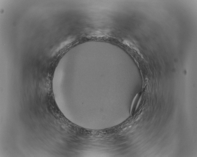 X0000088471350200706121519