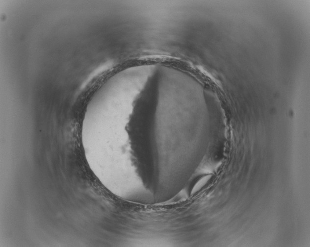 X0000088471351200706121519