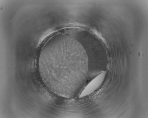 X0000088471352200706121519