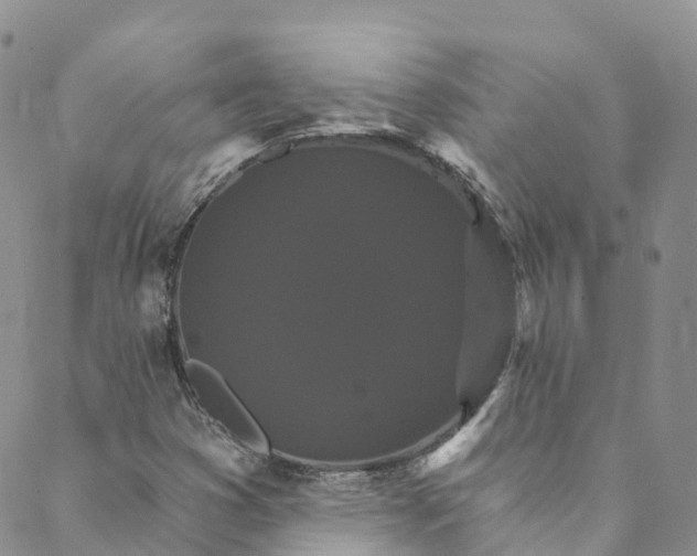 X0000088471353200706121519