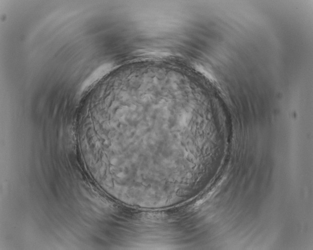 X0000088471354200706121519