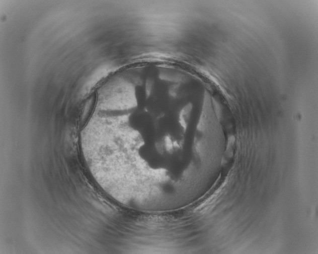 X0000088471355200706121519