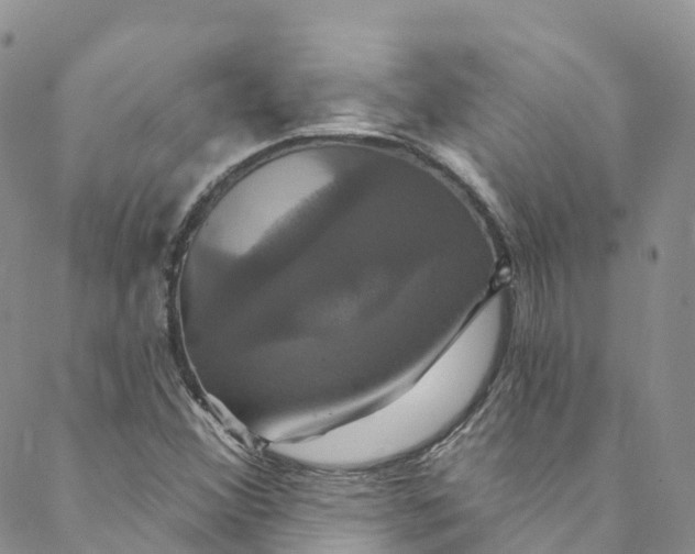 X0000088471356200706121519