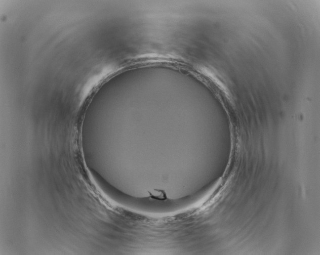 X0000088471357200706121519