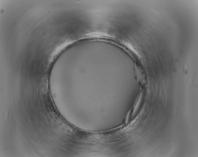 X0000088471358200706121519