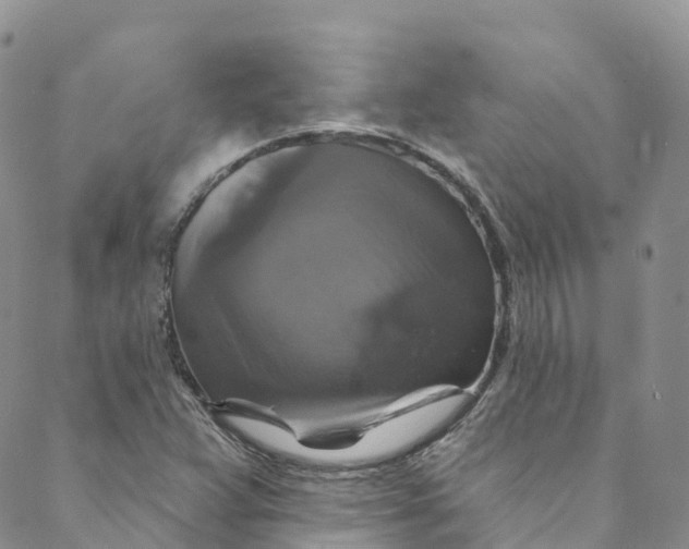 X0000088471359200706121519