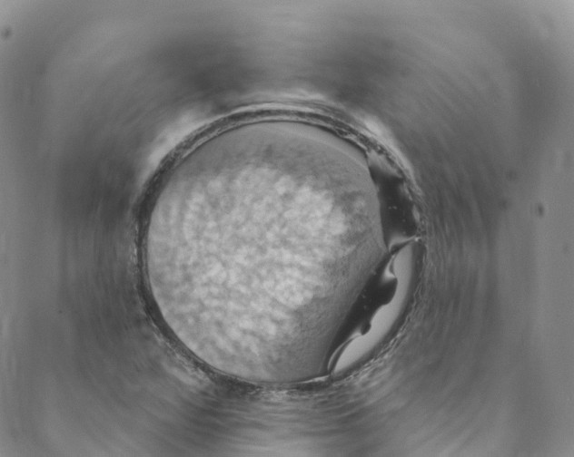 X0000088471360200706121519