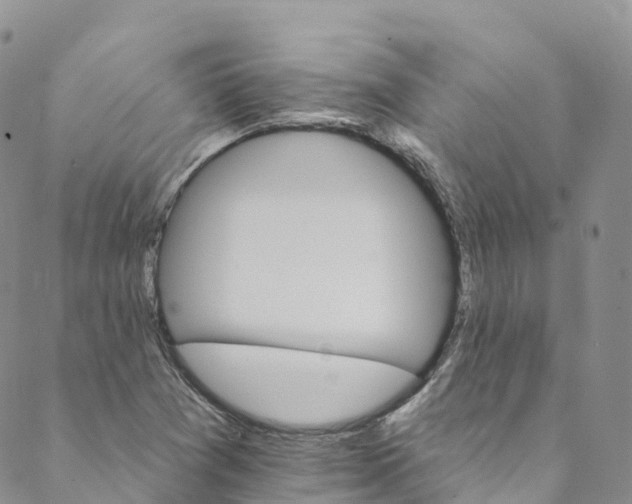 X0000088471361200706121519