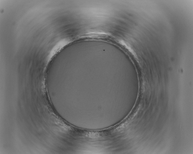 X0000088471362200706121519