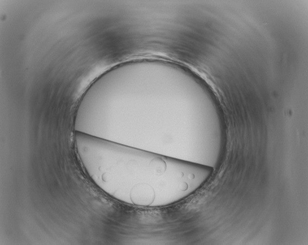 X0000088471363200706121519