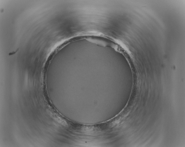 X0000088471364200706121519