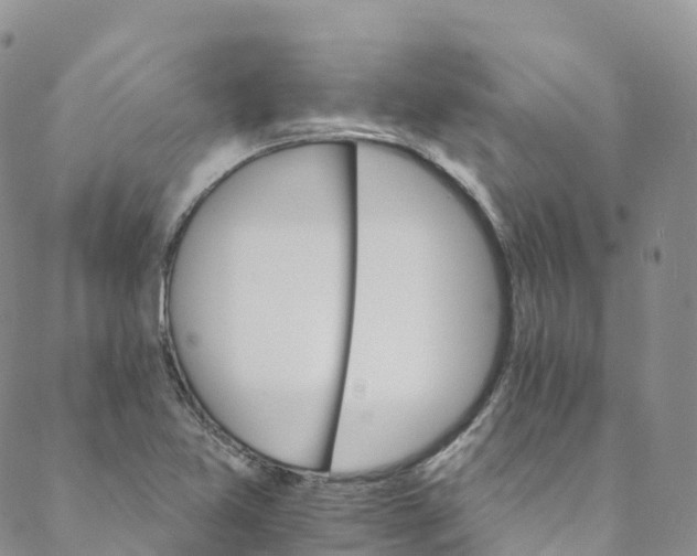 X0000088471365200706121519